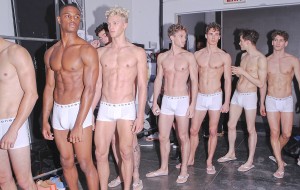 Parke&Ronen (1)