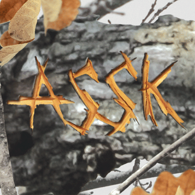 ASSK FW 1415 01