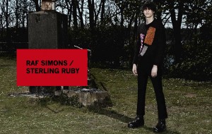 Campaign 5