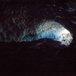 Glacier Caves