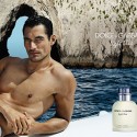 GandyTN