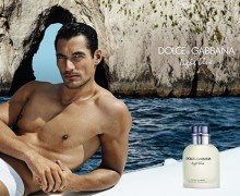 GandyTN