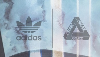 adidaspalaceTN