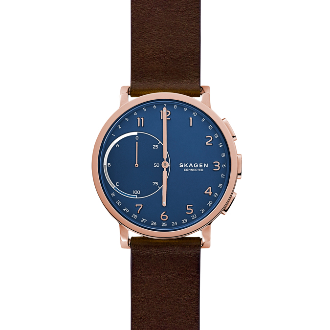 Skagen Watch