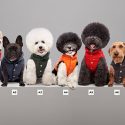 moncler---feature