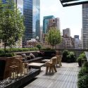Terrace 2 (Molly Tavoletti)_preview