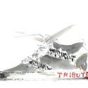 GIUSEPPE ZANOTTI TRIBUTE_sketch