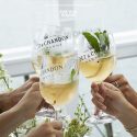 cocktail (3)
