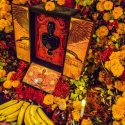 COVER-Patron