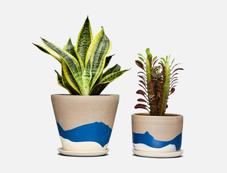 beach planters