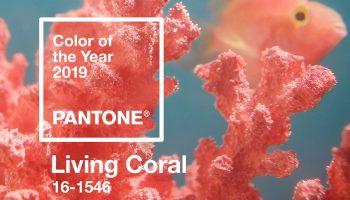 pantone-color-of-the-year-2019-living-coral-banner-mobile