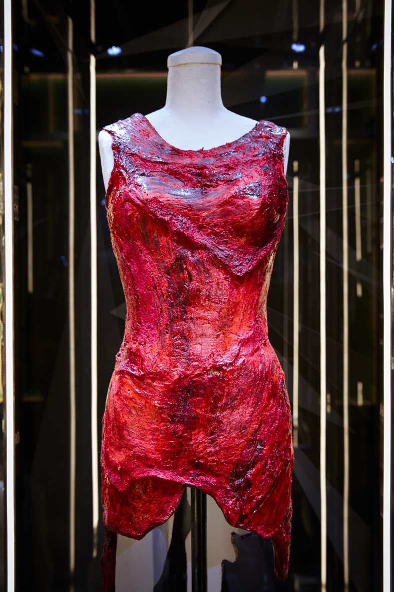 lady gaga meat dress