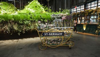 Maison St.Germain floating flower installation