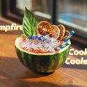 campfire-cookout-cooler