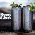 Grey Goose & Soda cocktail