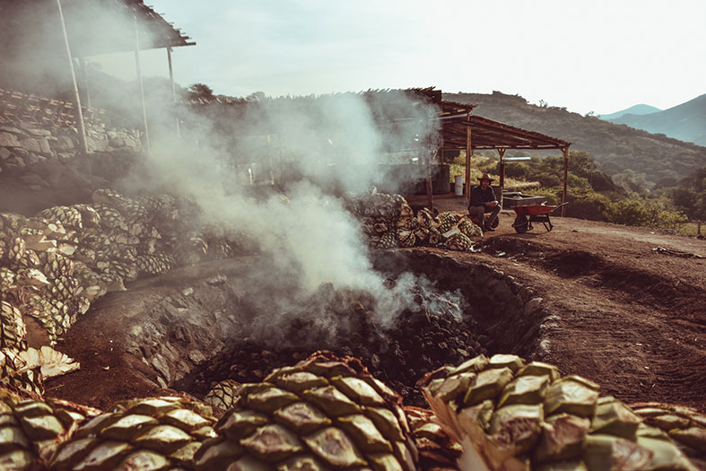 mezcal union making 