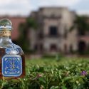 Patron Extra Anejo 10 Years