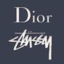 dior stussy