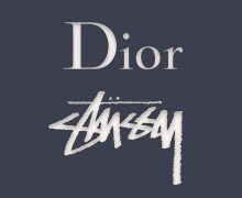 dior stussy