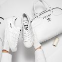 prada adidas superstar