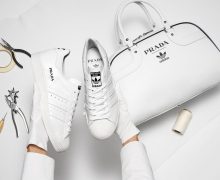 prada adidas superstar