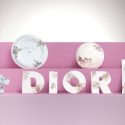 dior daniel arsham